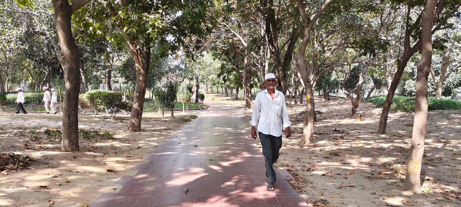 महापालिकेच्या वृक्ष गणनेच्या निविदेत घोटाळा